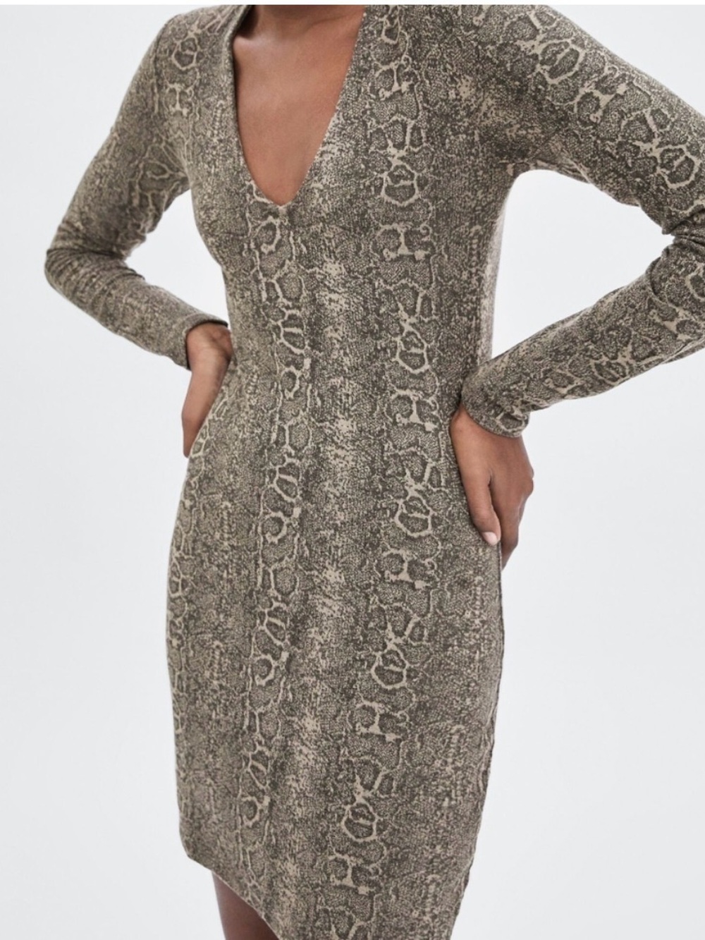 Zara Snake Print Mini Dress Small NWT